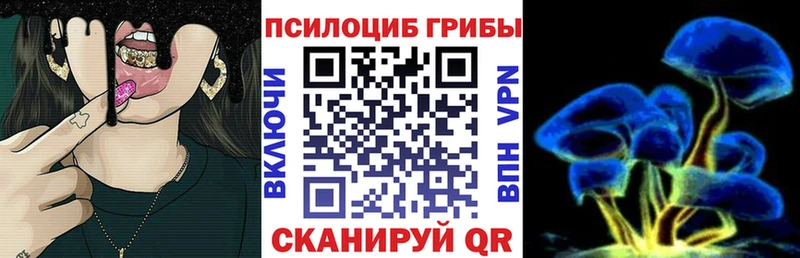 Галлюциногенные грибы GOLDEN TEACHER  Терек 
